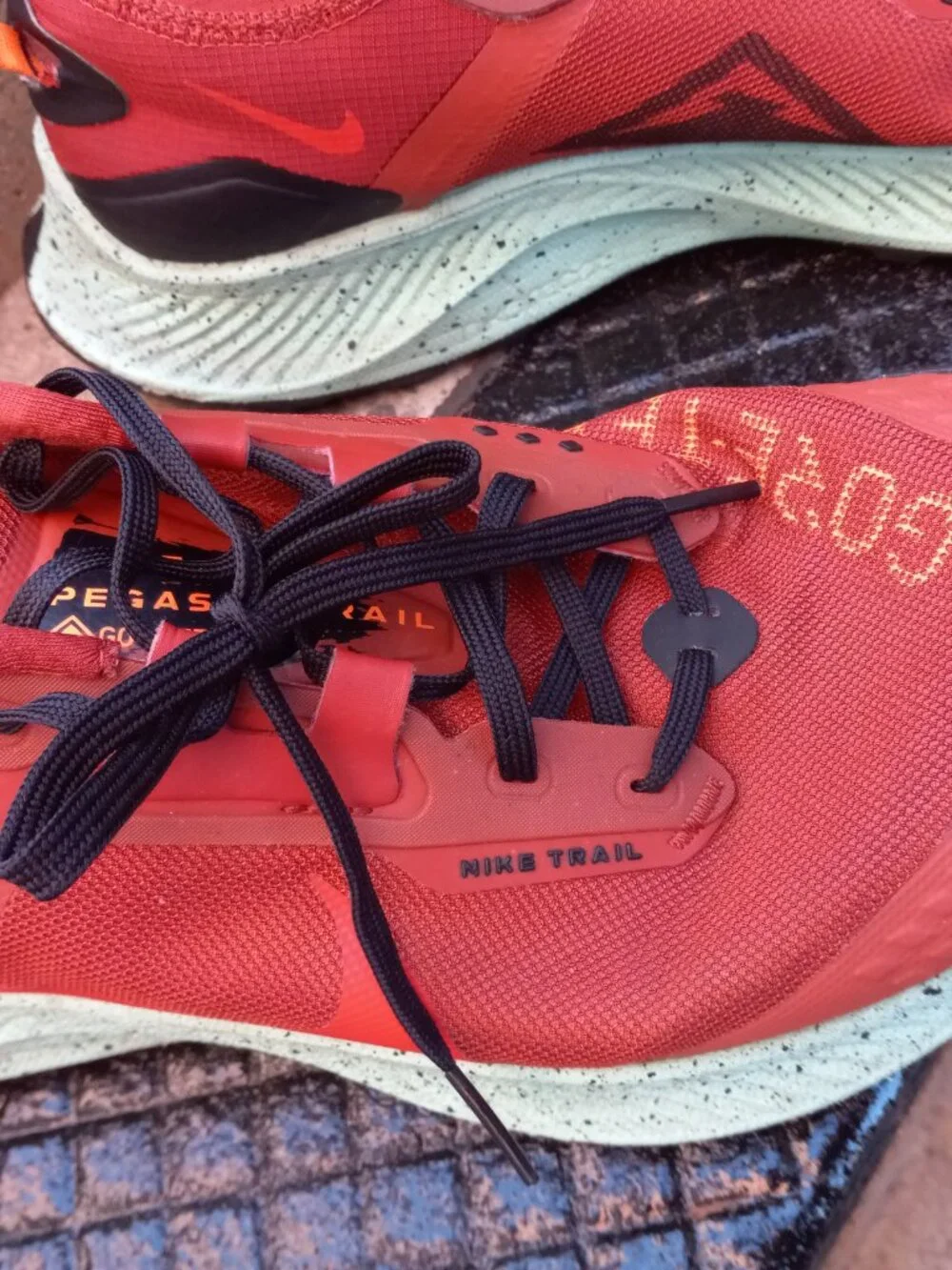 Nike Pegasus Trail 3 GTX GORE-TEX Rugged Orange Size 12 DC8793-800 Waterproof